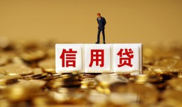 深圳25哪有个人借贷-深圳25小额贷款公司-深圳25私借空放免费上门